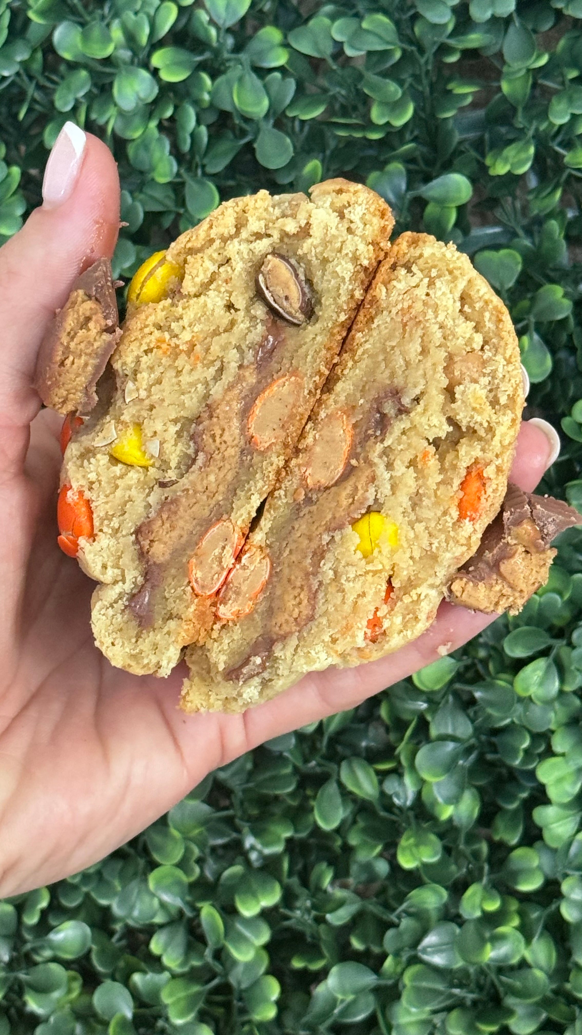 Nut'n Better DoughMyGodCookies LLC