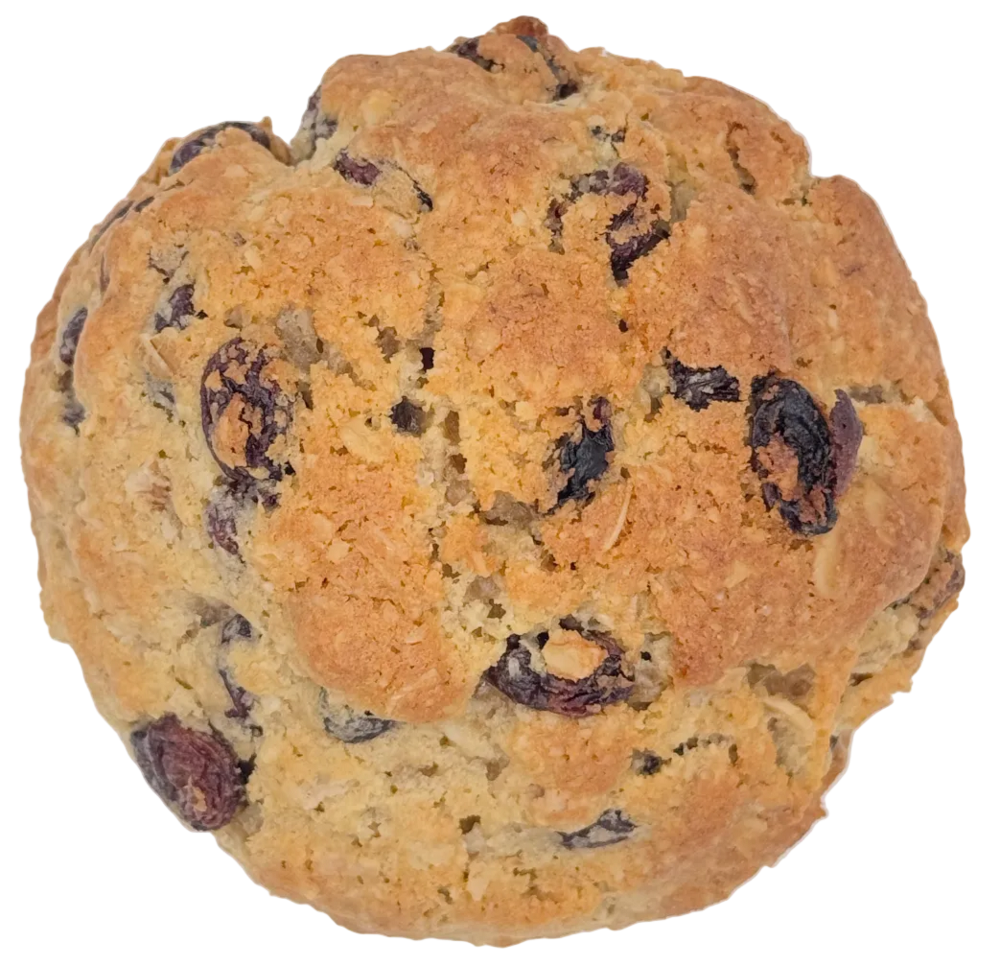 Raisin The Roof